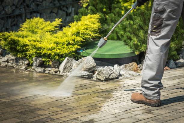 Best Fence Cleaning  in La Vista, NE