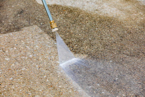 Best Gutter Cleaning  in La Vista, NE
